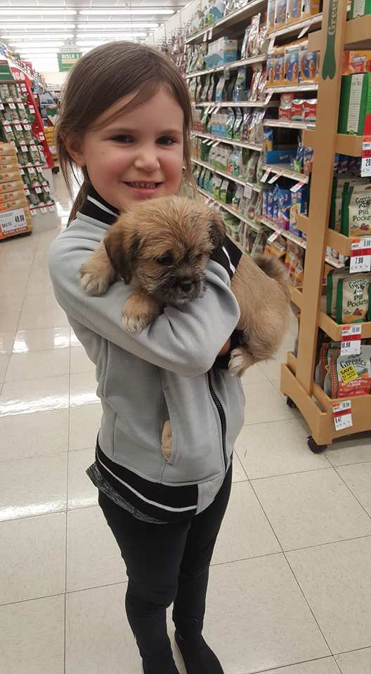 Adopted - The Road Home Animal Project