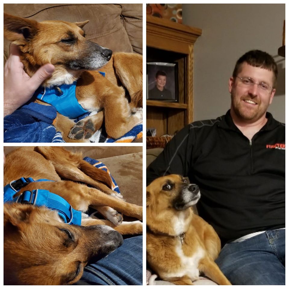 Ambur - The Road Home Animal Project