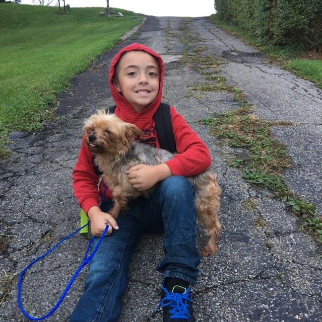 Anna - The Road Home Animal Project