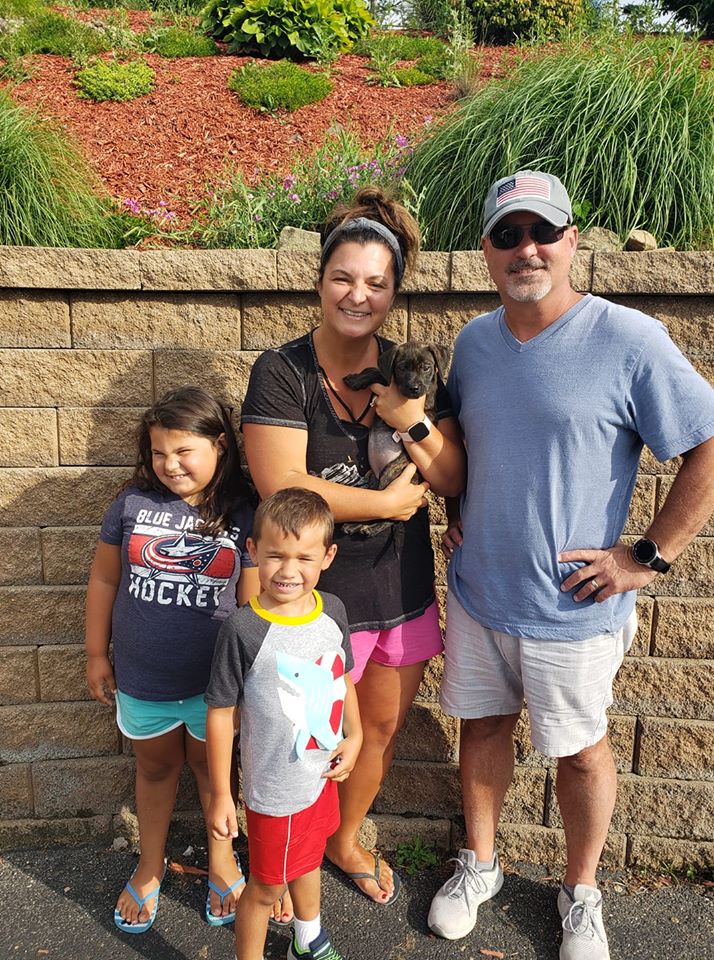 Annie - The Road Home Animal Project