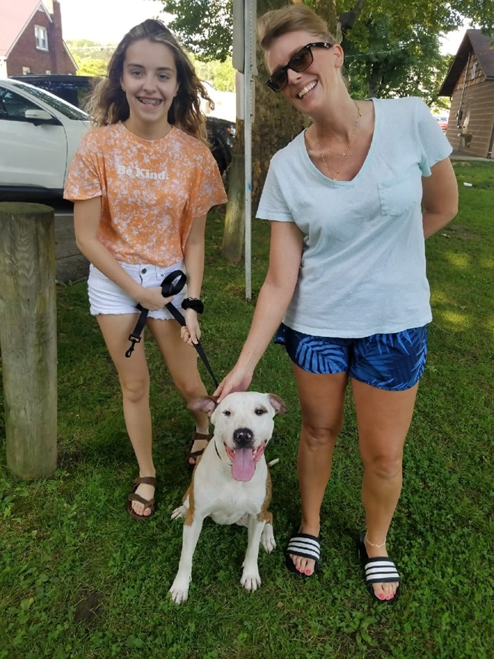 Apollo - The Road Home Animal Project