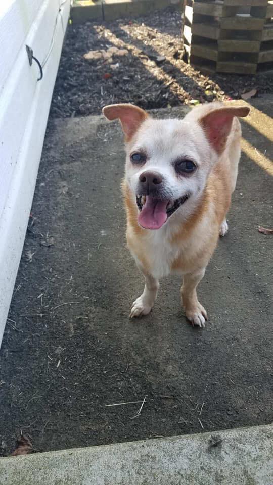 Baby Boy - The Road Home Animal Project