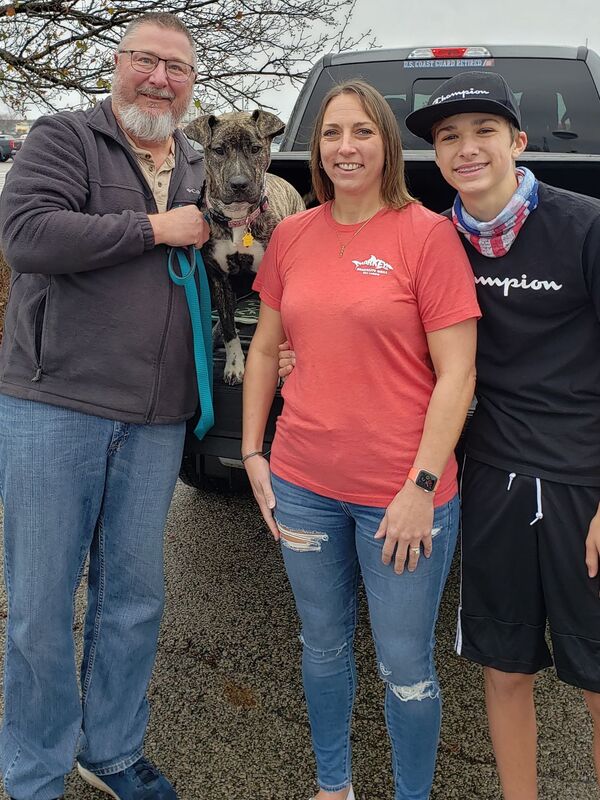 Bailey - The Road Home Animal Project