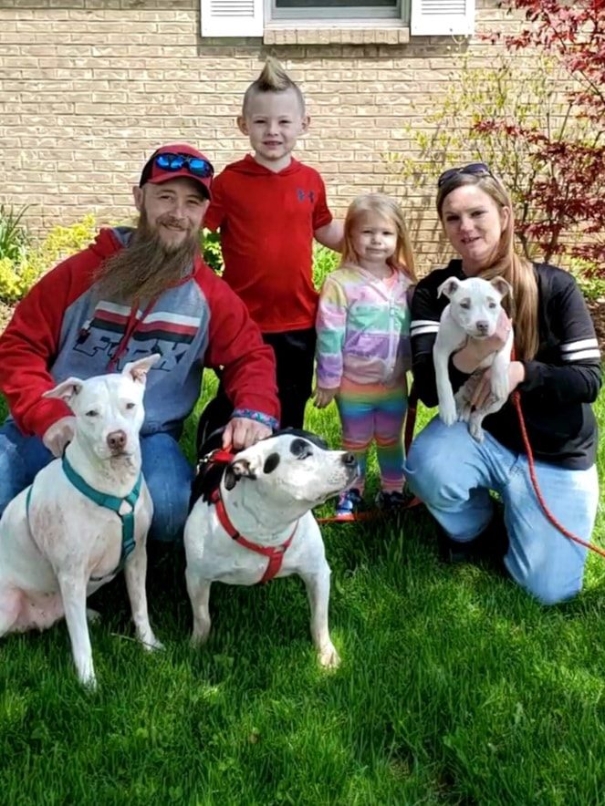 Blossom - The Road Home Animal Project