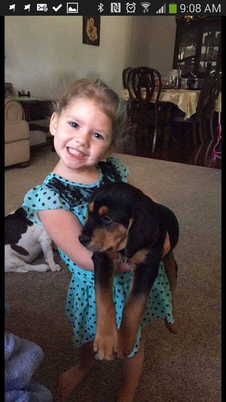 Brutus - The Road Home Animal Project