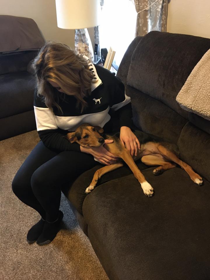 Brystol - The Road Home Animal Project