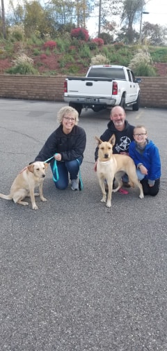 Caroline - The Road Home Animal Project