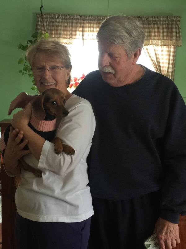 Chia - The Road Home Animal Project