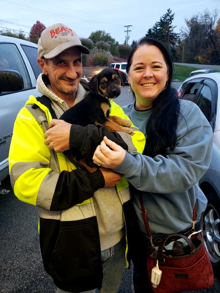 Chloe - The Road Home Animal Project