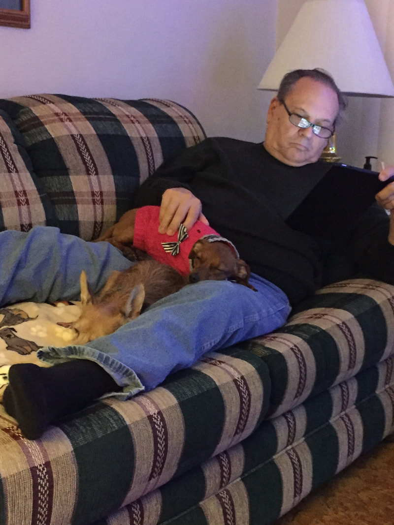 Coco - The Road Home Animal Project