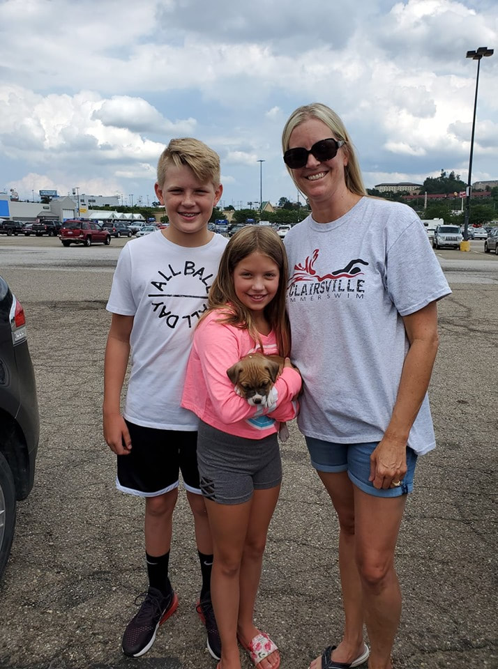 Cooper - The Road Home Animal Project