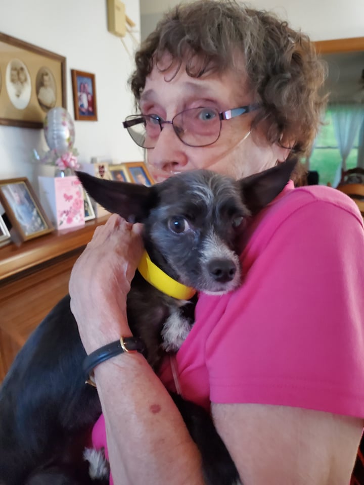 Daisy - The Road Home Animal Project