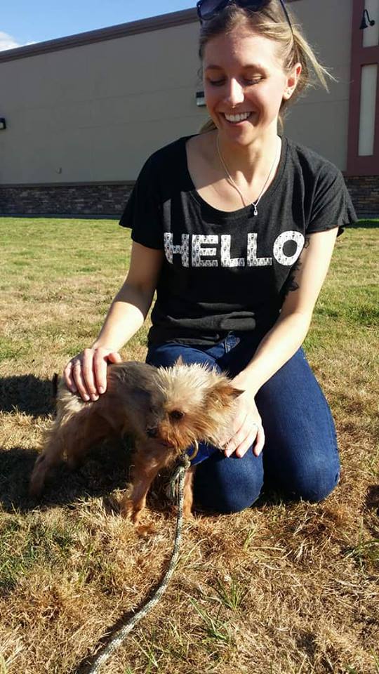 Denver - The Road Home Animal Project