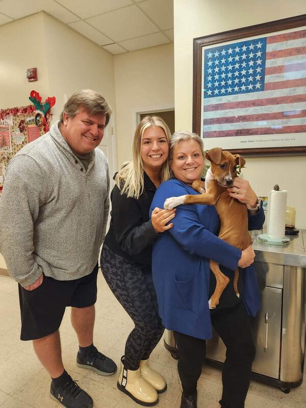 Doggo - The Road Home Animal Project