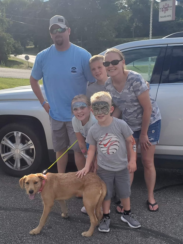 Doggo - The Road Home Animal Project