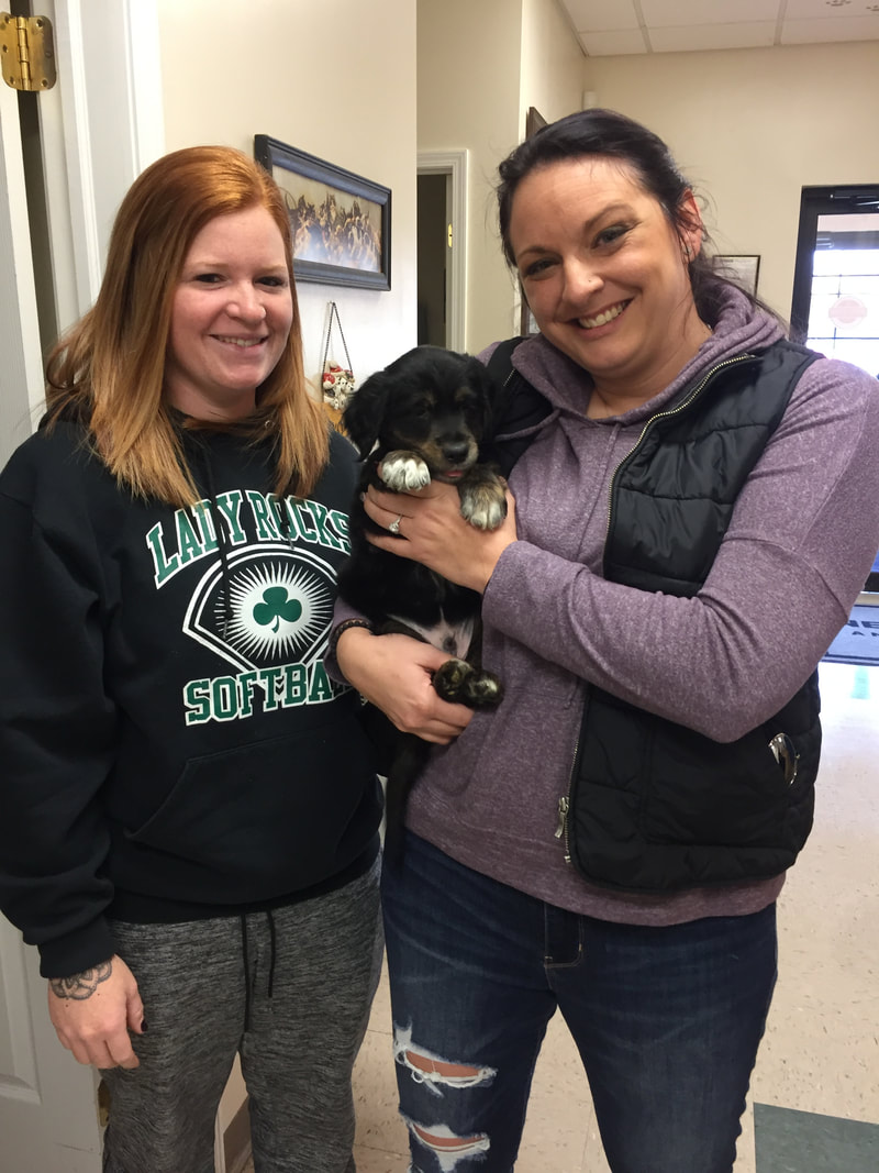 Emmett - The Road Home Animal Project