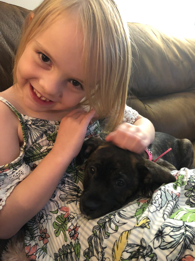 Evie - The Road Home Animal Project