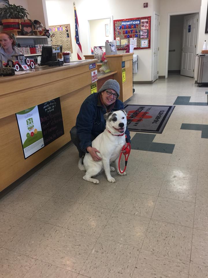 Gabby - The Road Home Animal Project