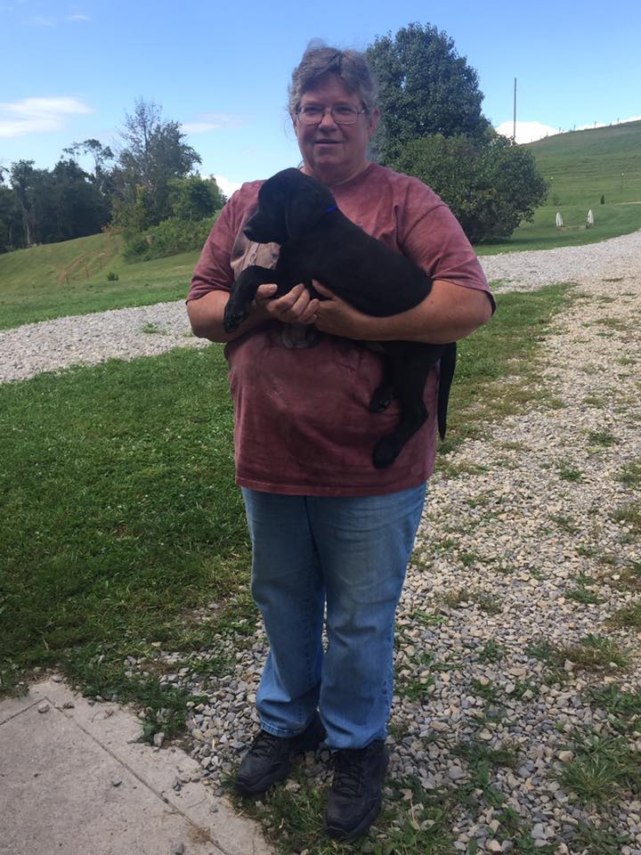 Gibbs - The Road Home Animal Project