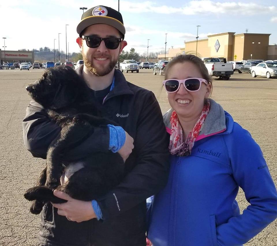 Goose aka Gwyn - The Road Home Animal Project