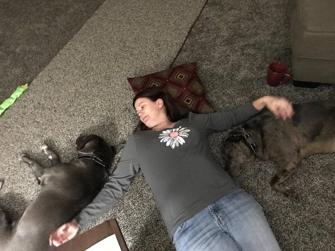 Gracie and Skarlett - The Road Home Animal Project