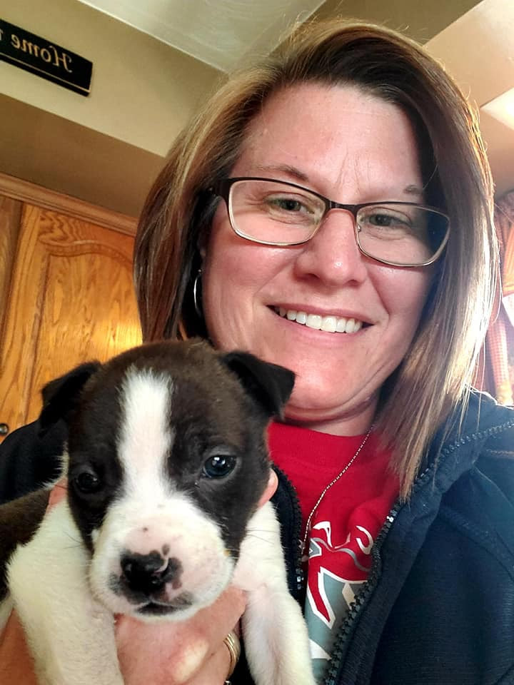 Gracie - The Road Home Animal Project