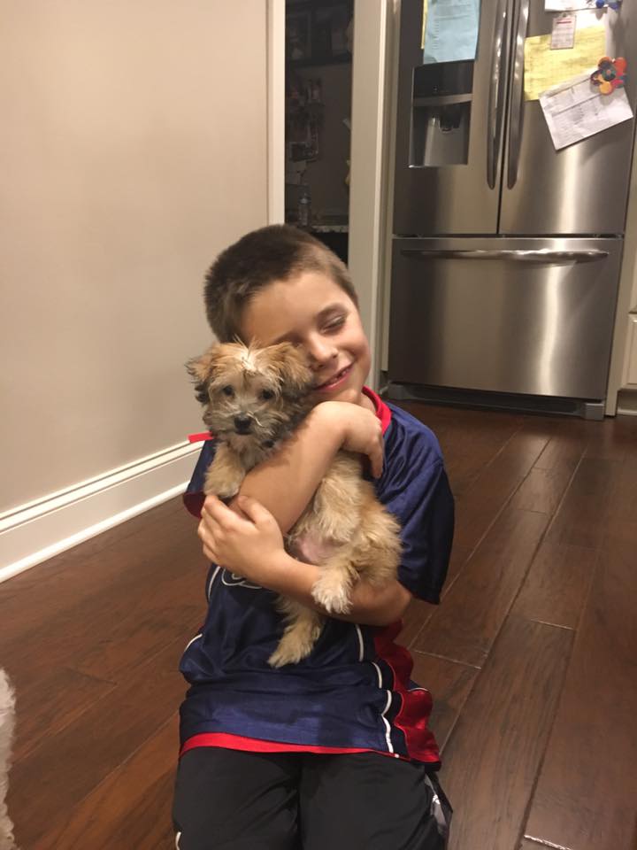 Grizz - The Road Home Animal Project