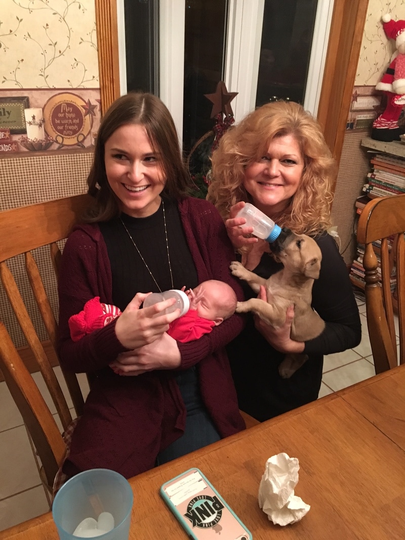 Hank - The Road Home Animal Project