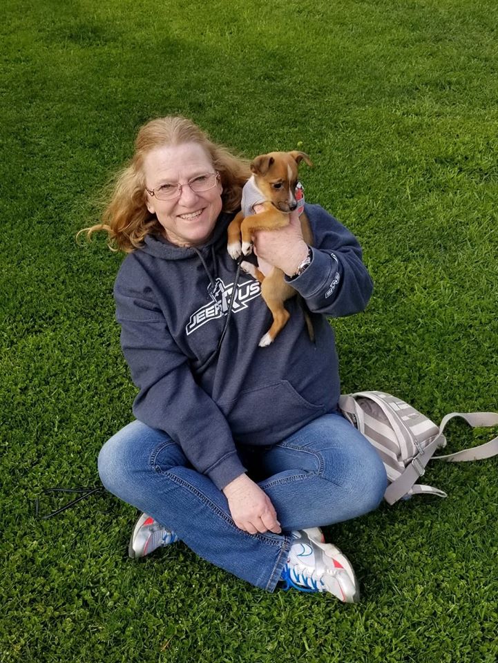 Hans - The Road Home Animal Project