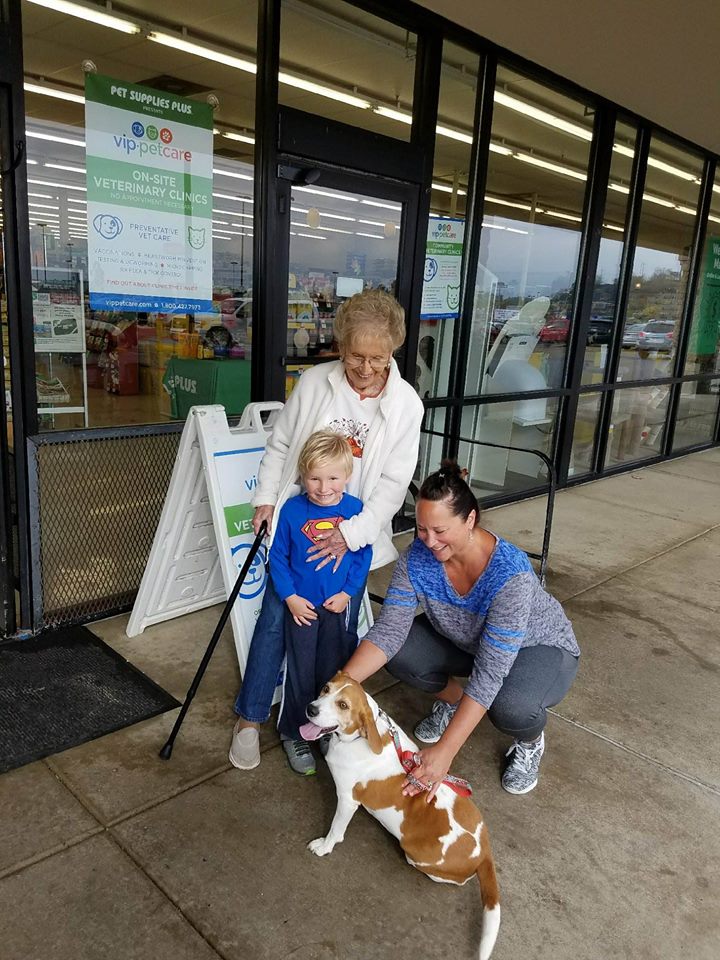 Jacie - The Road Home Animal Project