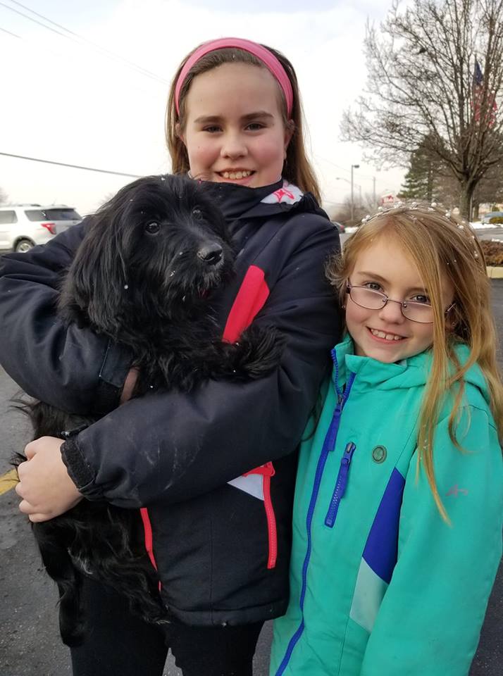 Jack - The Road Home Animal Project