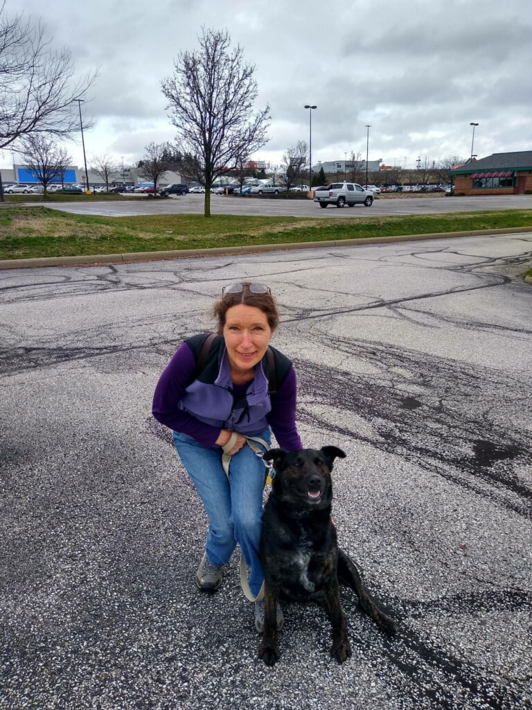 Jade - The Road Home Animal Project