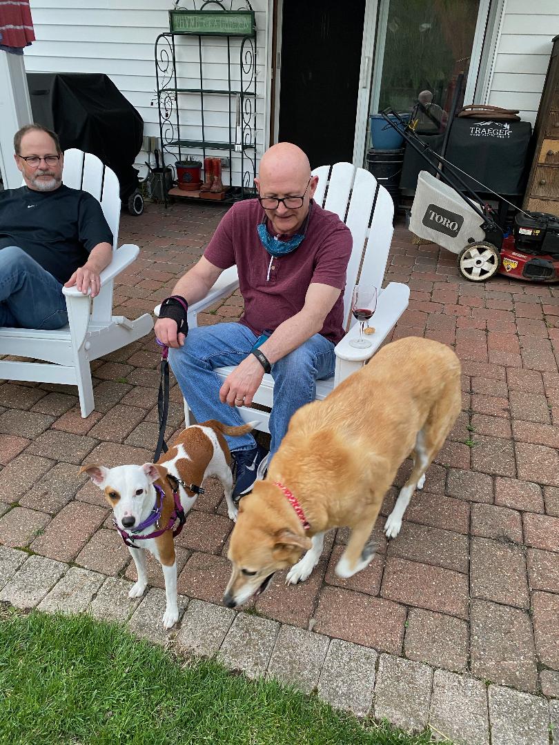 Jolene - The Road Home Animal Project