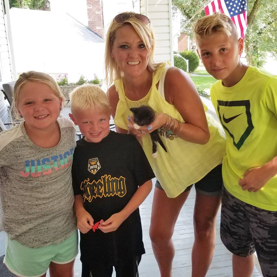 Kitty - The Road Home Animal Project