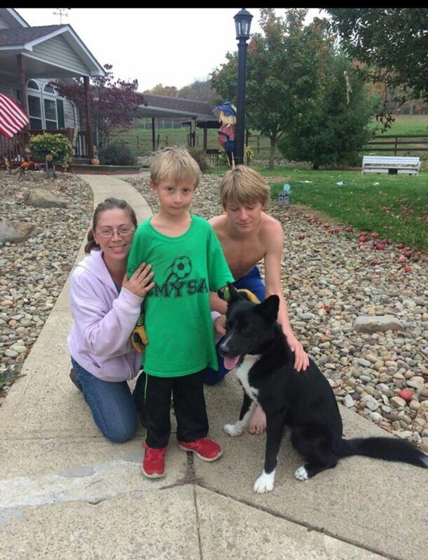 Kratos - The Road Home Animal Project