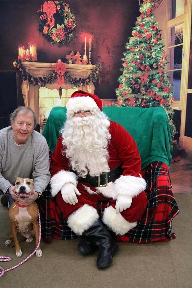 Layla - The Road Home Animal Project