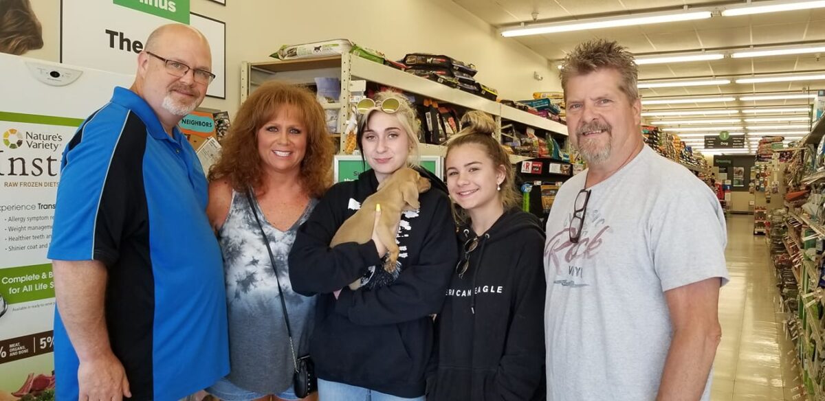 Lizzy - The Road Home Animal Project