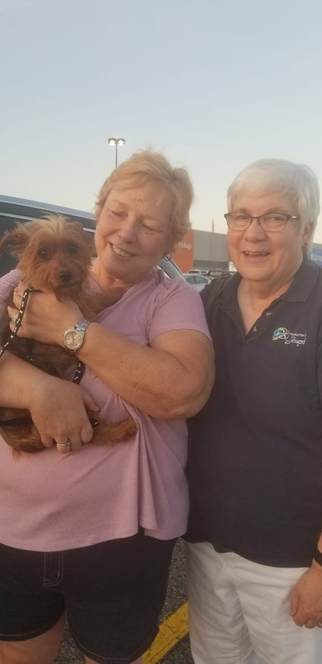 Maggie - The Road Home Animal Project