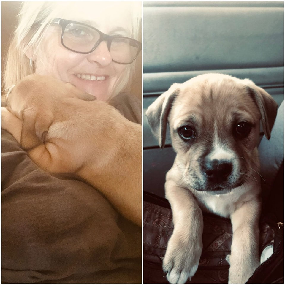 Marney - The Road Home Animal Project