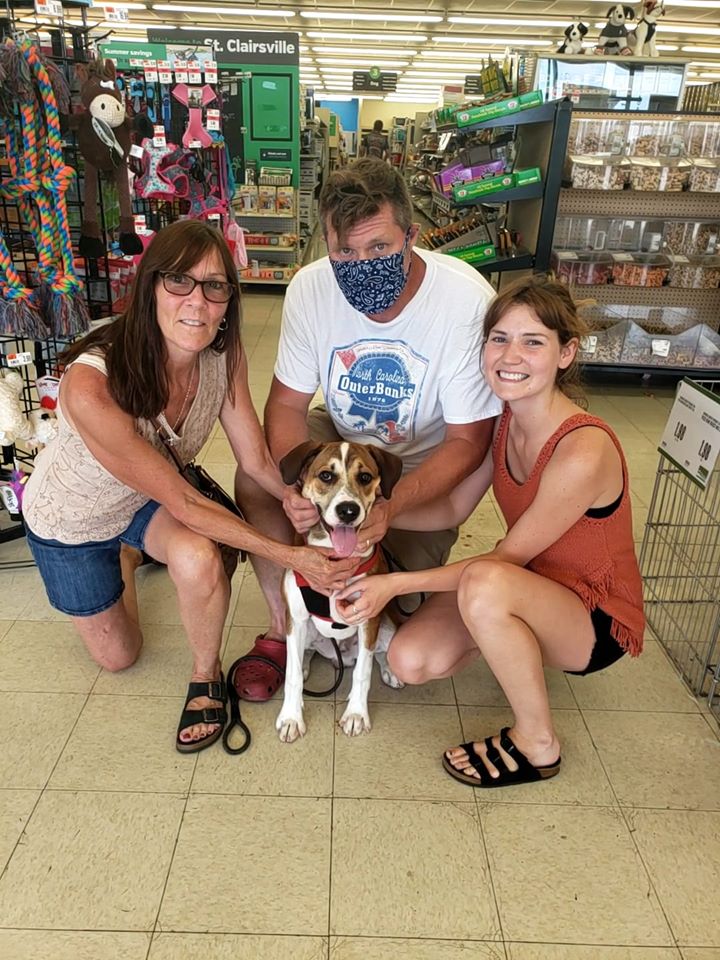 Maverick - The Road Home Animal Project