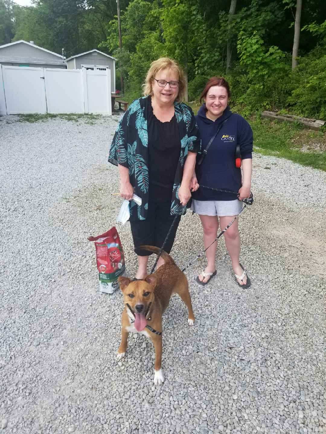 Molly - The Road Home Animal Project