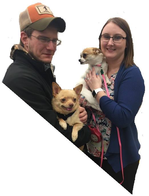 Monkey - The Road Home Animal Project