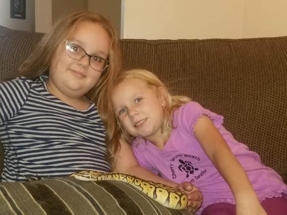 Monty - The Road Home Animal Project