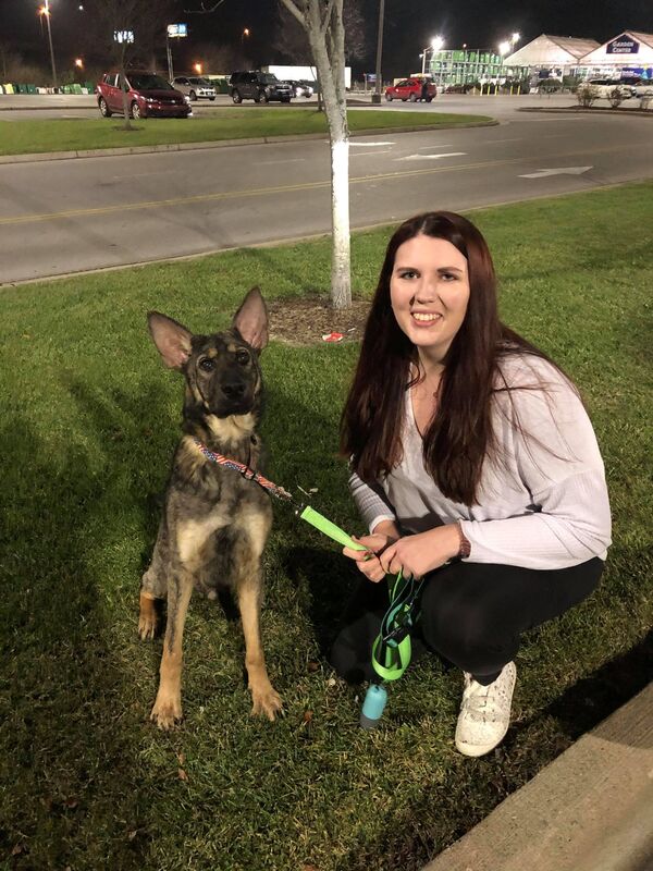 Odie - The Road Home Animal Project