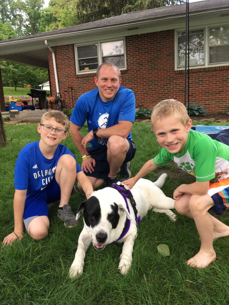 Panda - The Road Home Animal Project