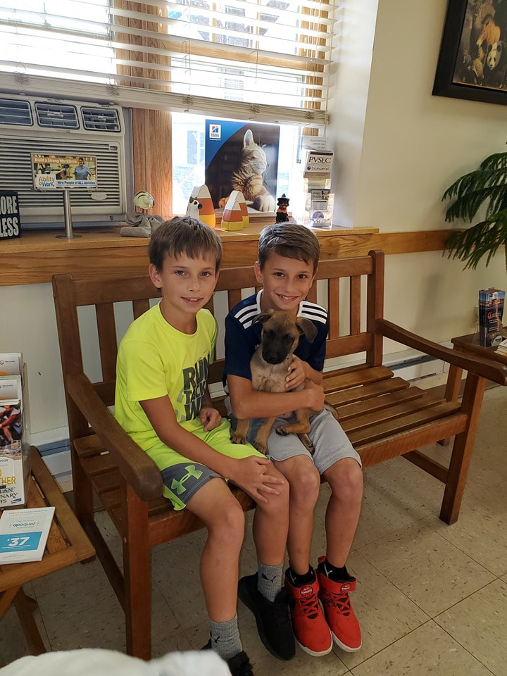 Penny - The Road Home Animal Project