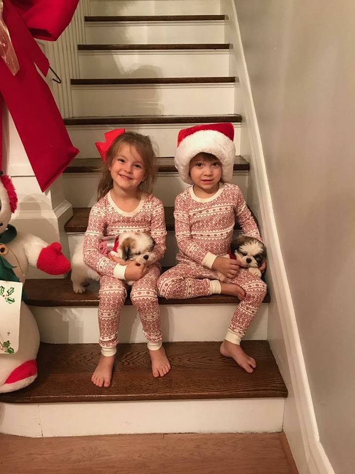 Pinkie Pie and Buster - The Road Home Animal Project