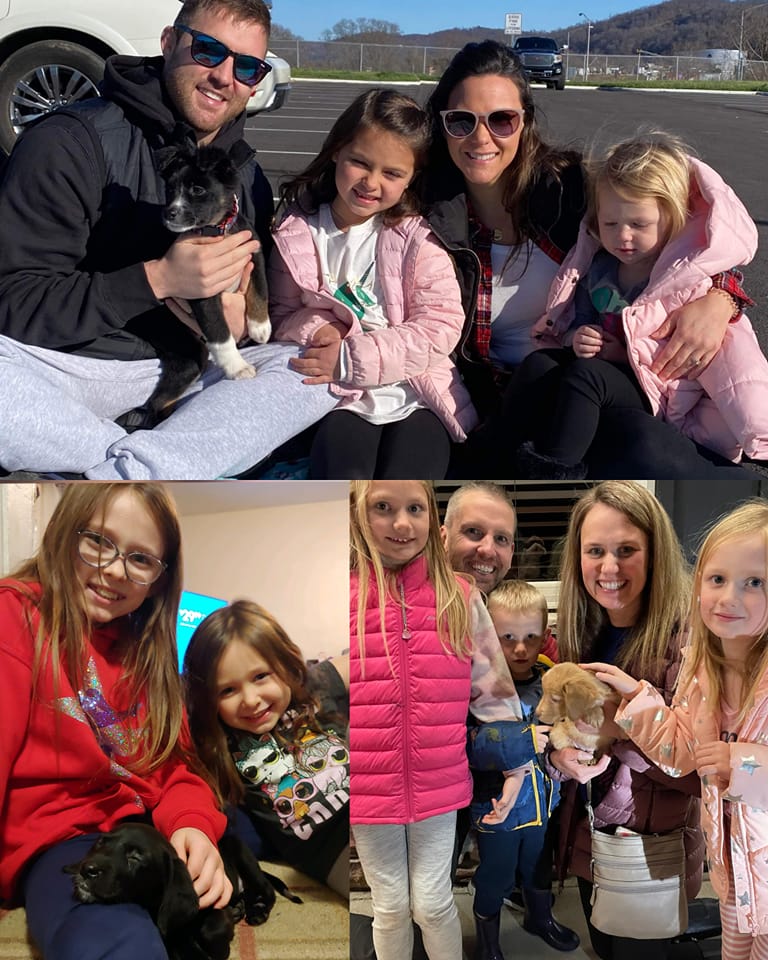 Pup - The Road Home Animal Project