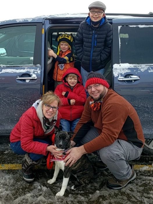 Sally - The Road Home Animal Project