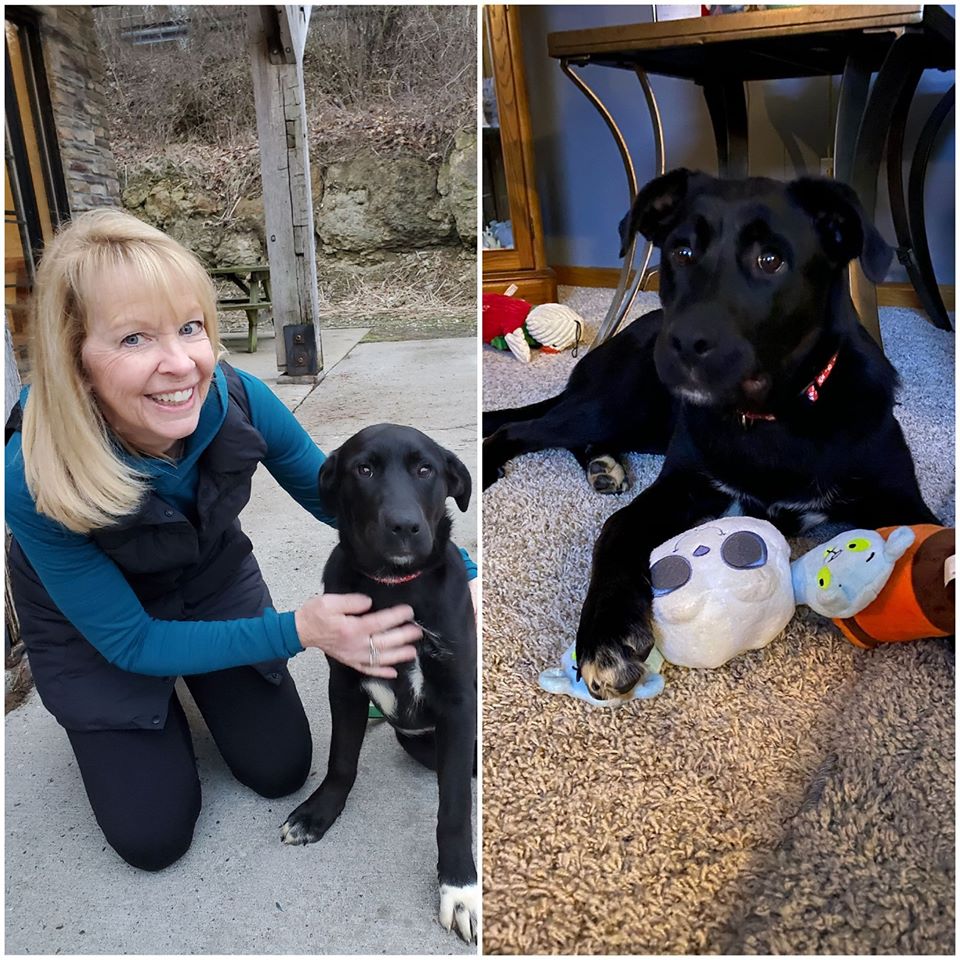 Samantha - The Road Home Animal Project